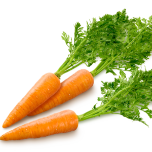 Carrot Cuisine