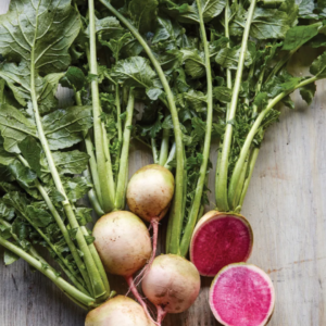 discover-the-beauty-of-watermelon-radishes