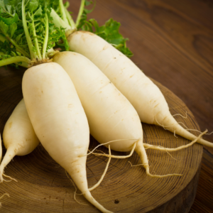 discover-the-many-varieties-of-radishes