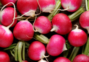 discover-the-beauty-and-variety-of-radishes